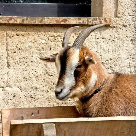 Zur Margarethenmuehle - Landgasthof Und Waldhotel Hotel 3*