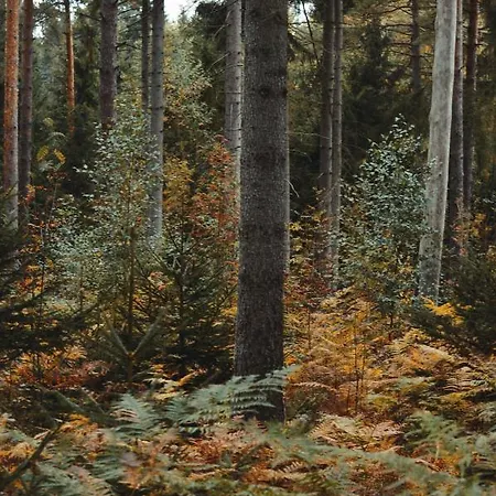 Zur Margarethenmuehle - Landgasthof Und Waldhotel Отель