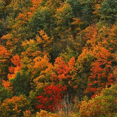 Zur Margarethenmuehle - Landgasthof Und Waldhotel Отель 3*