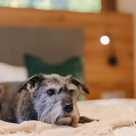 Zur Margarethenmuehle - Landgasthof Und Waldhotel