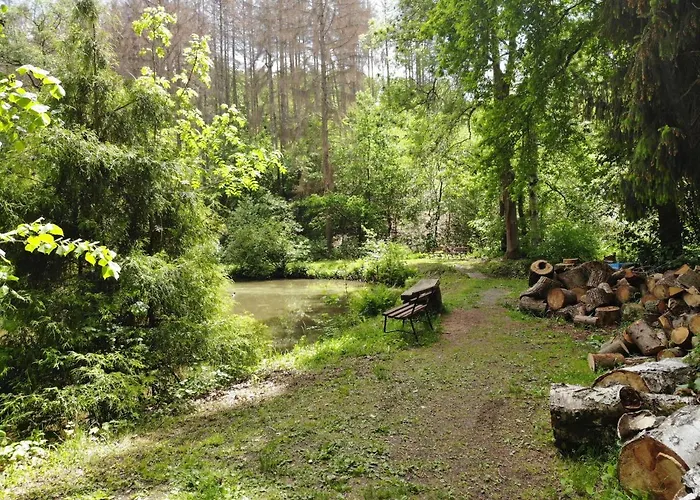 Zur Margarethenmuehle - Landgasthof Und Waldhotel