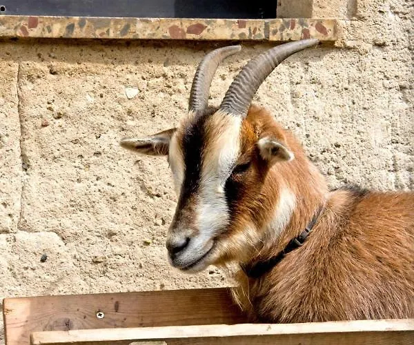 Zur Margarethenmuehle - Landgasthof Und Waldhotel Hotel 3*