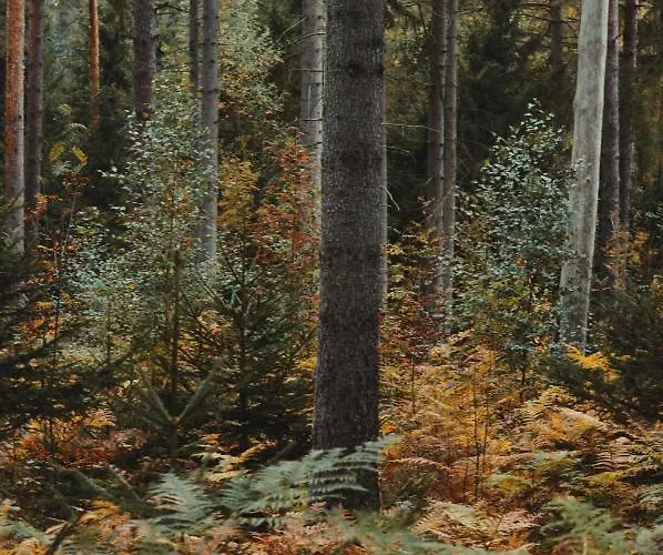 Zur Margarethenmuehle - Landgasthof Und Waldhotel Hotel