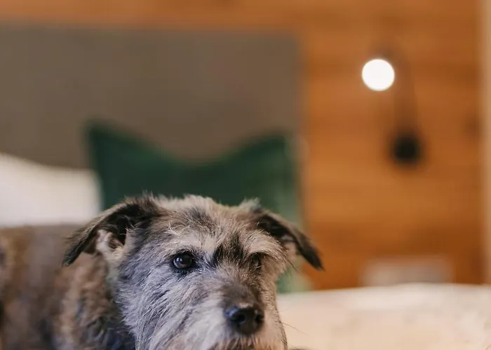 Zur Margarethenmuehle - Landgasthof Und Waldhotel